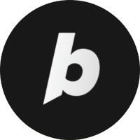 Partner logo 13